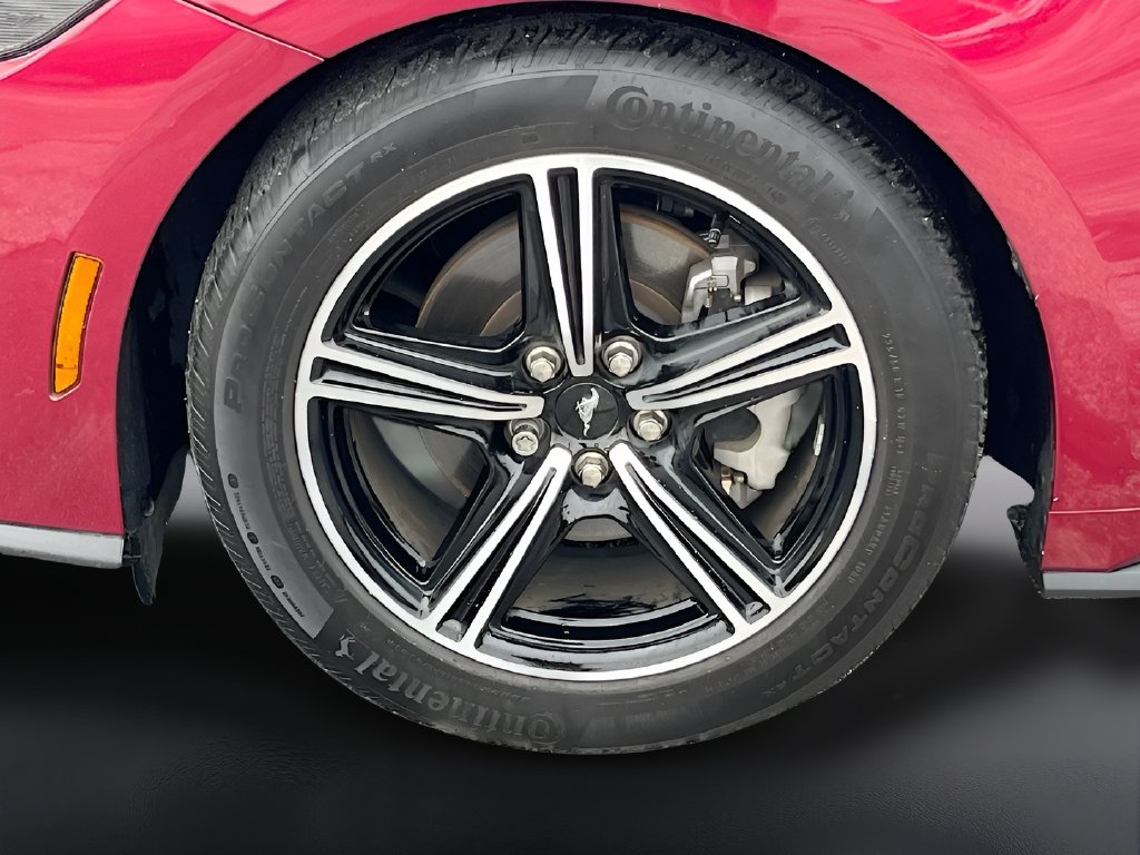 2025 Ford Mustang photo 28 of 29