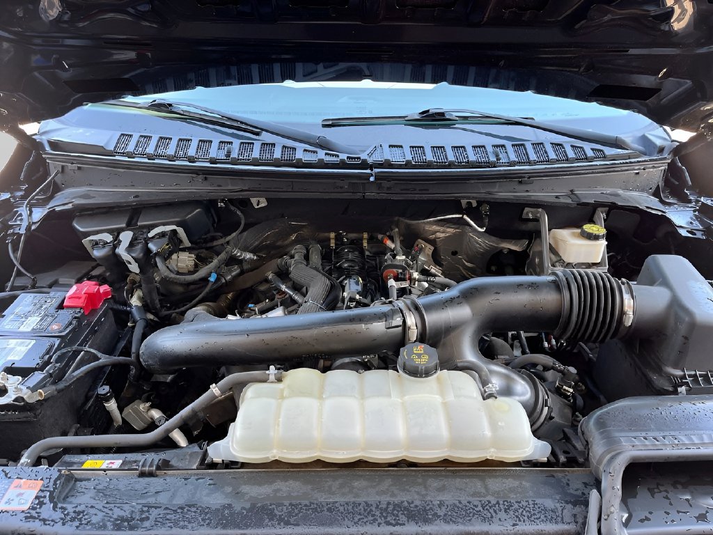 2023 Ford Expedition Max photo 31 of 33