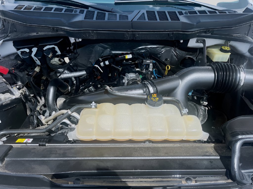 2023 Ford F-150 photo 31 of 33