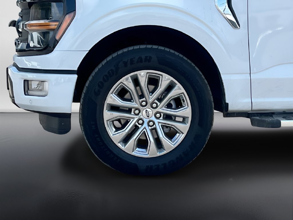 2025 Ford F-150 photo 31 of 32