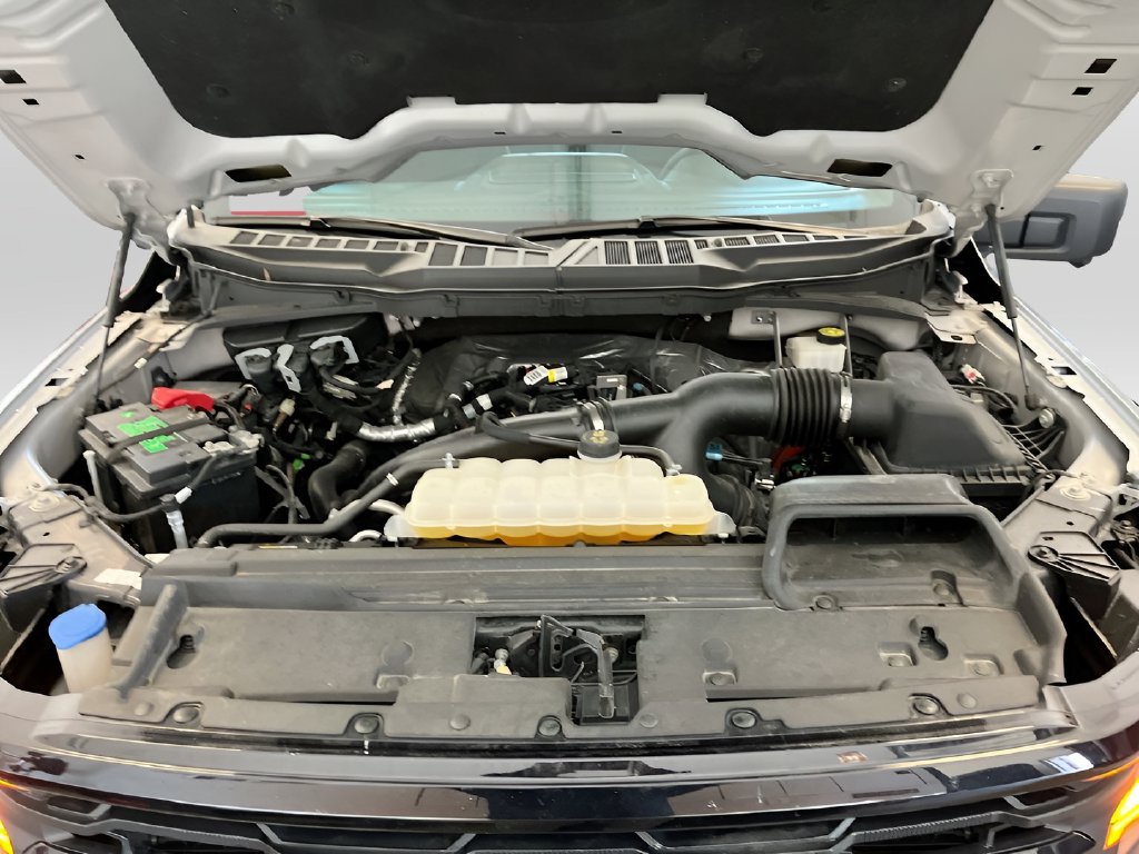 2024 Ford F-150 photo 30 of 32