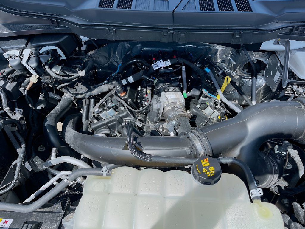 2025 Ford F-150 photo 28 of 30