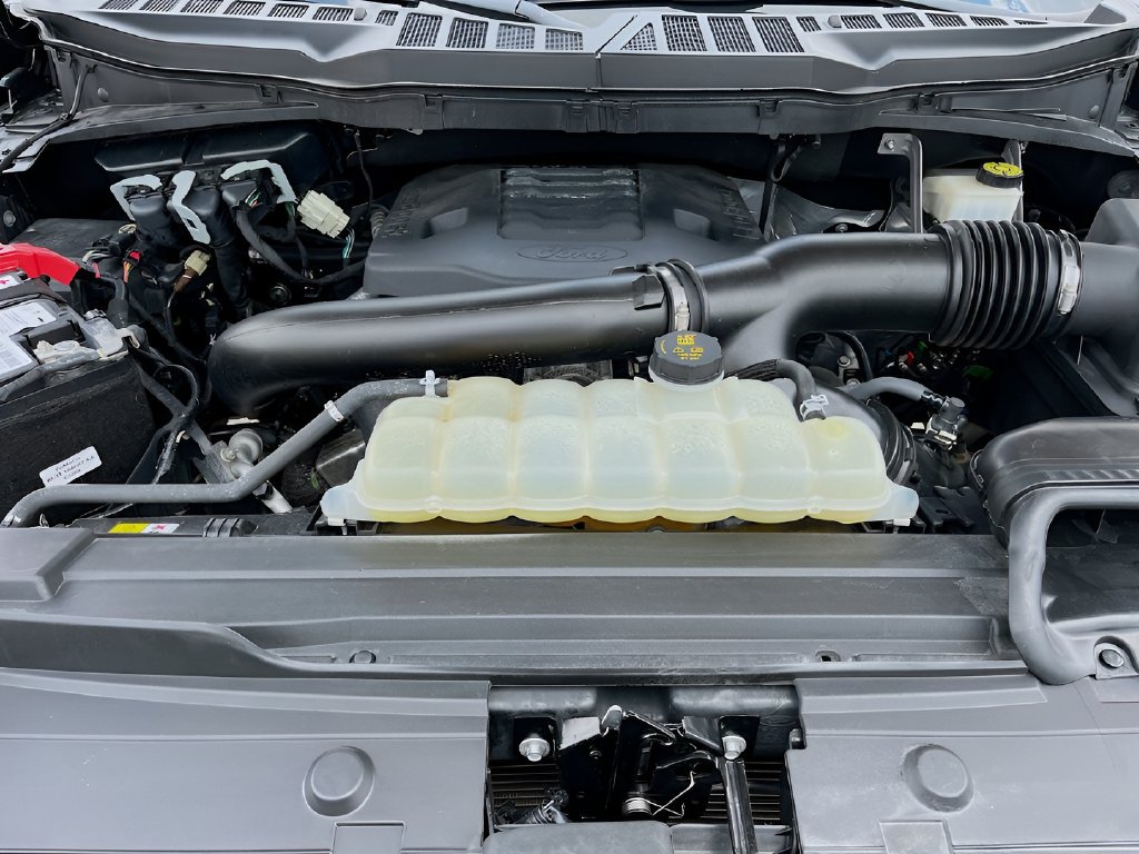 2022 Ford F-150 photo 29 of 31
