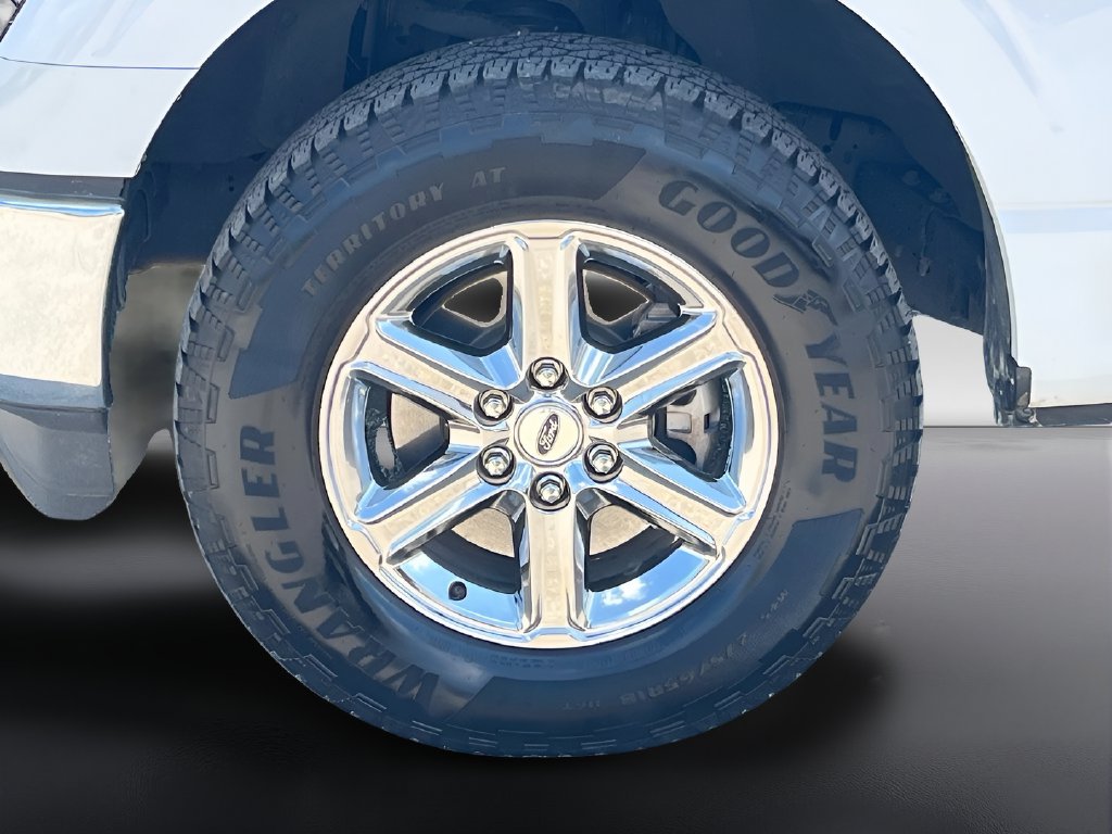 2024 Ford F-150 photo 30 of 31