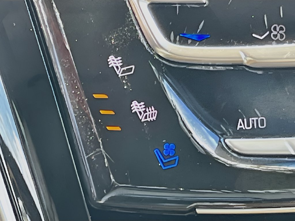 2019 Cadillac Escalade photo 21 of 37