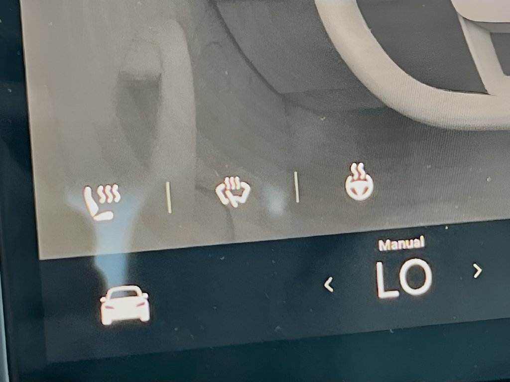 2024 Tesla Model 3 photo 19 of 32