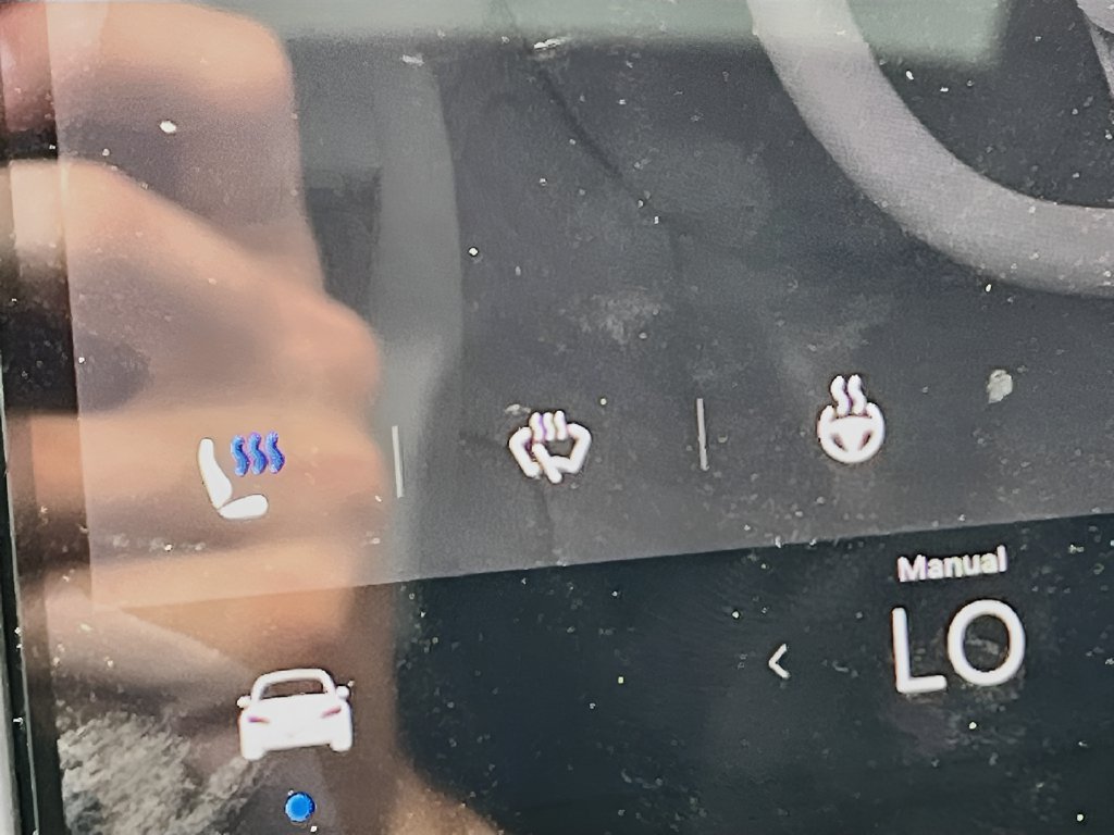 2025 Tesla Model 3 photo 19 of 32