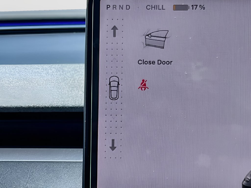 2025 Tesla Model 3 photo 17 of 34