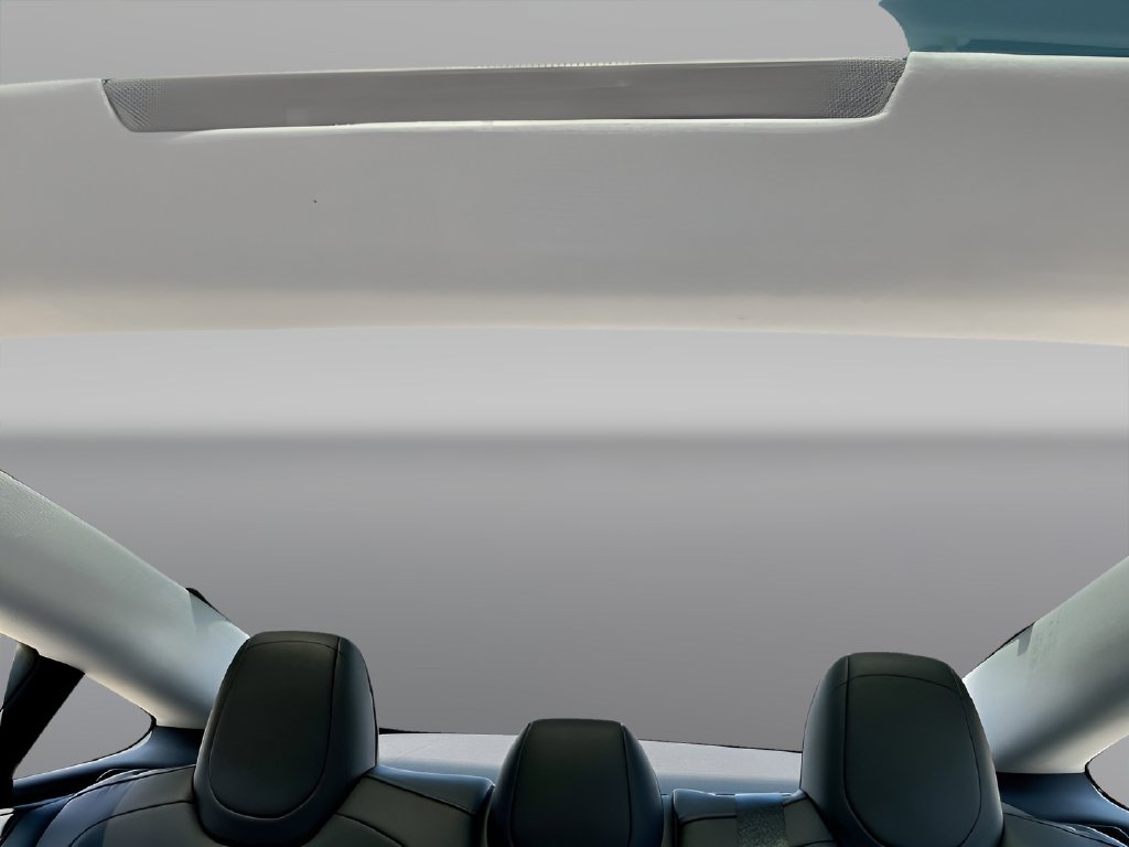 2025 Tesla Model 3 photo 22 of 34