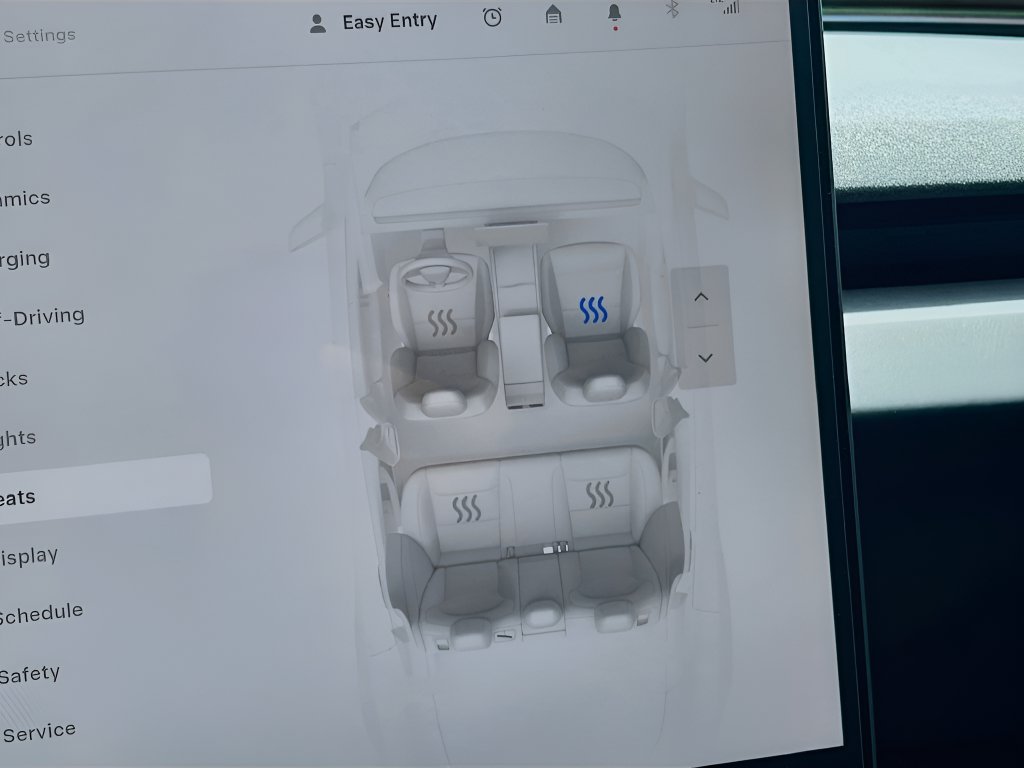 2025 Tesla Model 3 photo 20 of 33