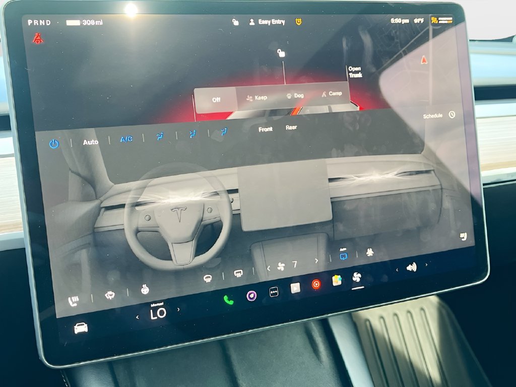 2025 Tesla Model Y photo 16 of 33