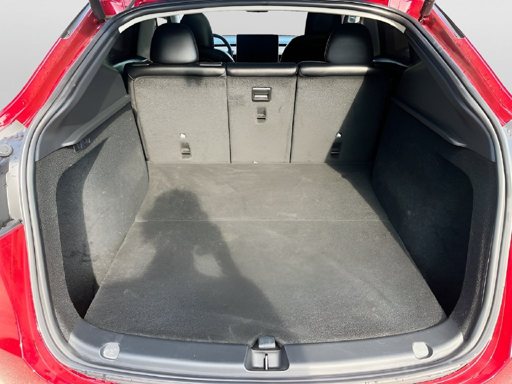 2025 Tesla Model Y photo 27 of 33