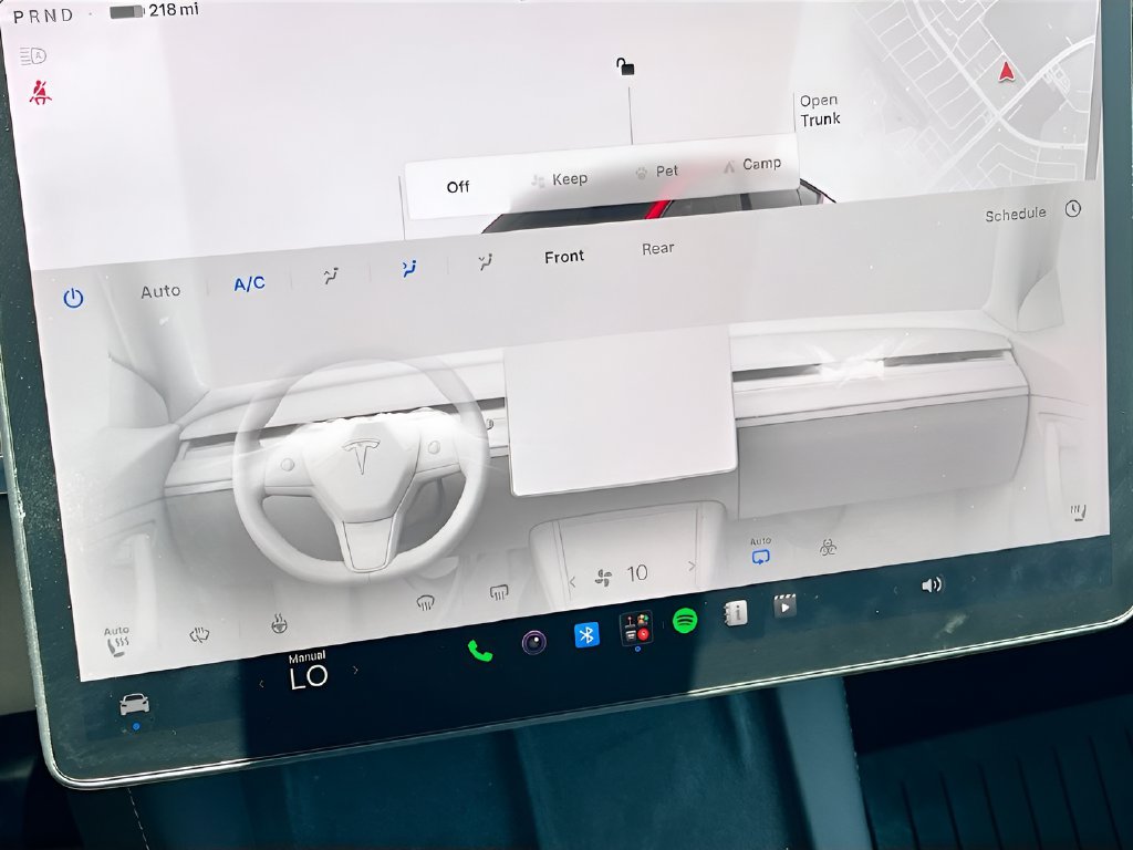 2024 Tesla Model Y photo 16 of 34