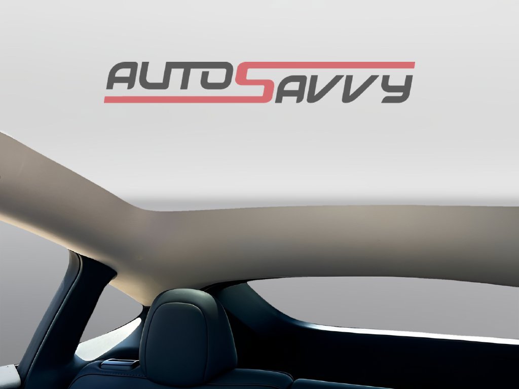2024 Tesla Model Y photo 22 of 34