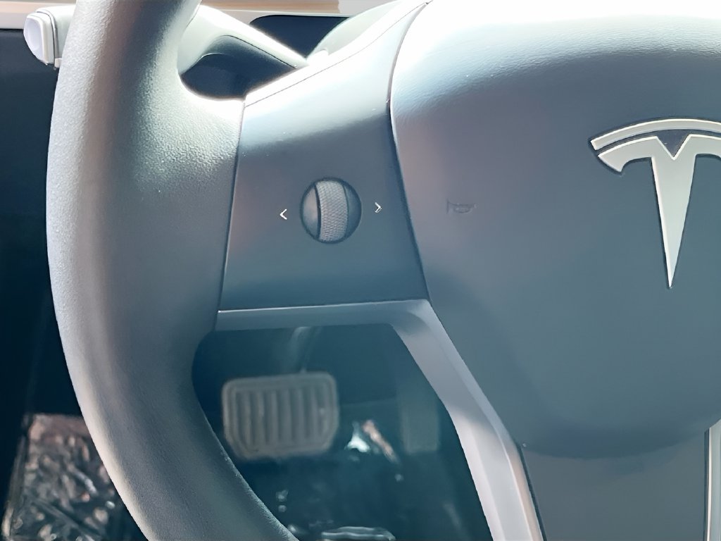 2025 Tesla Model Y photo 10 of 34